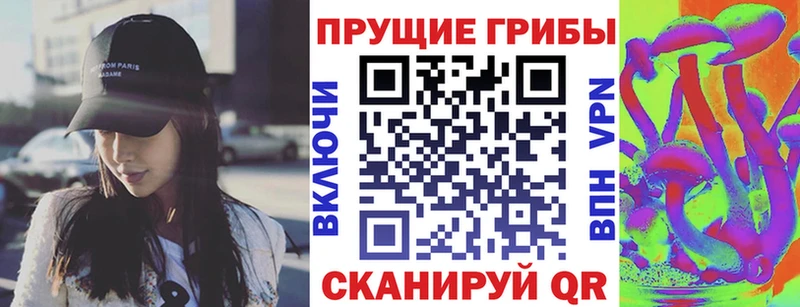 купить   Ак-Довурак  Псилоцибиновые грибы MAGIC MUSHROOMS 